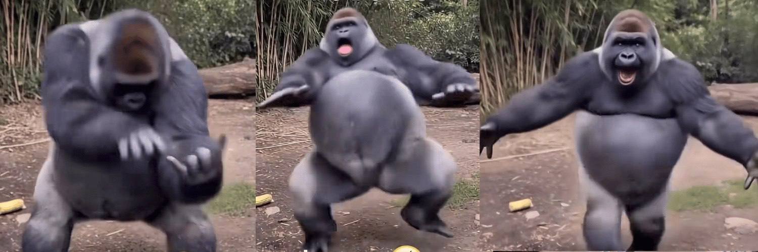 LAYOOO gorilla dance sequence, three frames
